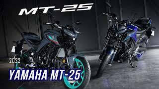 2022 Yamaha MT-25 |New Color |TM