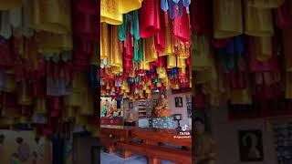Làm lành lánh dữ