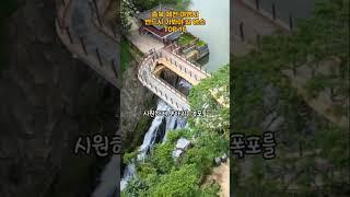 충북 제천 여행시 반드시 가봐야 할 명소 TOP16 #국내여행 #travel #지식 #여행지 #여행지추천 #여행 #대한민국 #추천 #trip