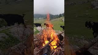 Ateş sini çağırıyor