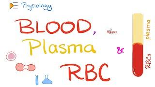 Blood, Plasma, and Red Blood Cells | Physiology of Blood and Immune System | Physiology Playlist
