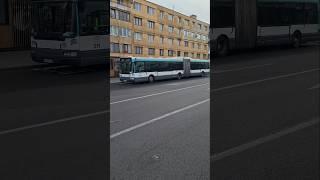 (@Andrew_trollino344 + șofer de miliarde) Autobuz Renault Agora L #511 pe linia 35