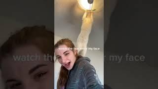 cat#core funny videos 