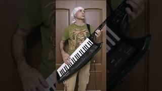 BAD RELIGION - PUNK ROCK SONG cover on KEYTAR. Guitar solo