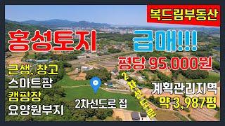 홍성토지급매 홍성싼땅 2차선도로 접한 계획관리 약 3,987평 평당 95,000원 급매물, 낮은 야산 임야, 근생, 창고, 요양원, 캠핑장, 전원주택단지개발부지 등