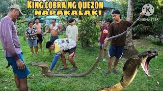 Napakalaking KING COBRA or BANACON ang umaligid sa tabing bahay