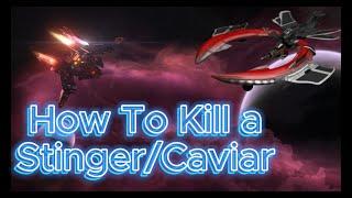 How To Kill Stinger & Caviar | Waruniverse