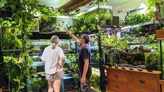Breeding 100's of Rare Fish in Planted Tanks | FULL Fishroom Tour!