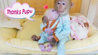 Baby monkey Poki is happy when monkey PUpu and his mother sew him a shirt