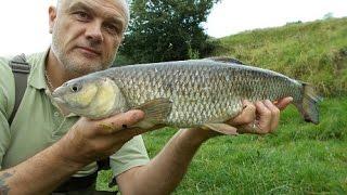 Fishing the lower and middle Severn - Stewart Bloor's Blog (entry 684)