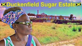 Lonely Road: Journey Beyond Duckenfield Sugar Estate Jamaica