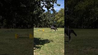 Big jumps today hopefully being able to improve and jump more often. #audio #equestrian #nz #horse