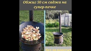 Обжиг и прокаливание 50 см сажда