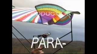 ROTORWING Part 6  * PARA - MONOWING * RC - Experimental * 3D Vector Control *