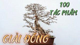 100 Tác Phẩm Giải Đồng - Triển Lãm Bonsai Toàn Quốc Trung Quốc.