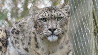 Marwell Zoo Trip - (December 2017)