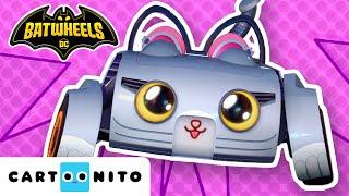 BATWHEELS | Kitty’nin En İyi Anları | Çocuklar İçin Çizgi Film | @CartoonitoTurkiye