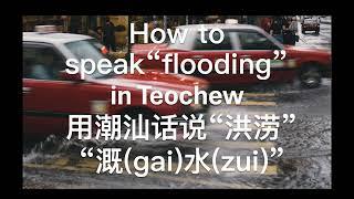 【潮州话学习】潮汕話來說“洪澇”  #潮州话学习  (Teochew แต้จิ๋ว)  英语/普通话/潮语