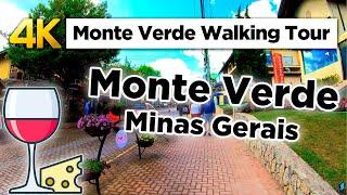 Walking Tour Monte Verde Minas Gerais (4k 60fps)