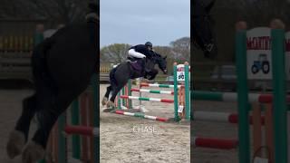 Who loves a Chase Me Charlie!             #pony #horse #showjumping #equestrian #horseriding #equine