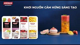 TVC TRÁI CÂY ĐÔNG LẠNH (IQF) & TRÁI CÂY XAY NHUYỄN ĐÔNG LẠNH (PUREE) - ANDROS PROFESSIONAL 2023 (VN)