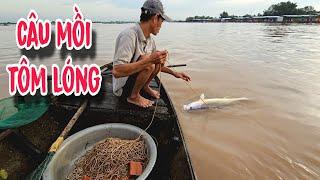 Giăng Câu Mùa Nước Đục | #66TV #fishing