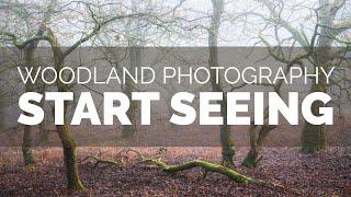 Woodland Photography - Start Seeing