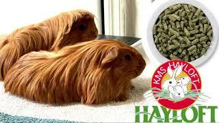 Unboxing KMS Hayloft Bluegrass Timothy Hay Pellets | gracieshotstuff