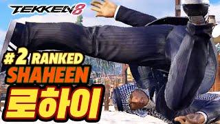 TEKKEN 8  SHAHEEN : 로하이(LowHigh)