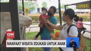 Manfaat Wisata Edukasi untuk Anak