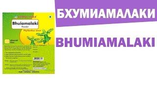 Бхумиамалаки.  Bhumiamalaki. Лечение печени. Аюрведа Здесь