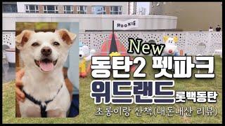 초롱이랑 동탄2 강아지 펫파크 | 롯데백화점 동탄점 7층 | 위드랜드 다녀와봤어요!