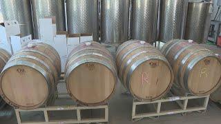 WINEaLOT Wine Pub celebrates grand opening of new cellar tasting bar