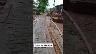 gaon ka Mausam ️#song #viralvideo #shorts #youtube #love #music ️