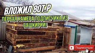 грибница на 1300кг за 80т.р. Сколько вложить? Обзор грибницы от подписчика! Шампиньоны как бизнес!