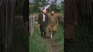 АЛКАШ!.. | Белые росы