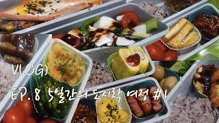 남편도시락 도시락 여정 #1 l 도시락브이로그 l