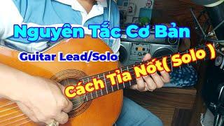 Những Nguyên Tắc Và Kỹ Thuật Cơ Bản Để Lead/Solo Guitar