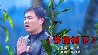 天籁佛音，一首《菩提树下》净化心灵！听完感觉重生，太好听