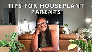 My Top 12 Tips For Houseplant Parents | Plant Journey Advice