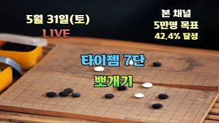 [생]타이젬바둑 7단 뽀개기