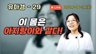 2024년 6월 19일 유마경29-이 몸은 아지랑이와 같다!