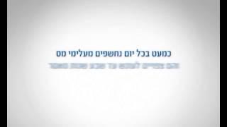 רשות המסים בישראל - העלמת מס - ההון השחור תקציר שני