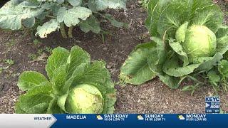 Living Earth Center receives grant from MN Department of Agriculture