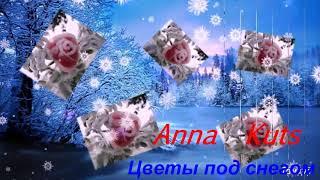 Anna Kuts  " Цветы под снегом"