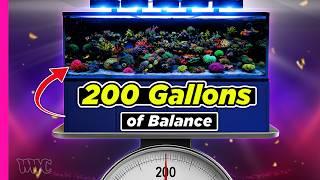 Jaw-Dropping Corals & Unreal Growth! | 200G Mixed Reef
