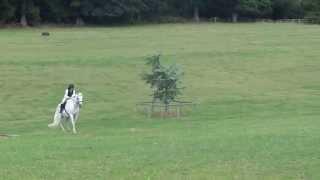 Riding Camp - Day 5 at Snowball Farm - XC - Scarlett with Snowball Phoenix