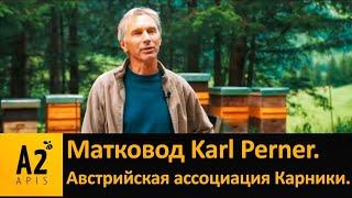 Матковод Карл #Пернер, Австрийская Ассоциация #Карники (#АСА)