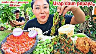 URAP DAUN PEPAYA SAMBAL TERASI AYAM GORENG LALAP PETAI BAWANG