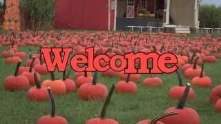 Pumpkin picking long island - The only farm you'll enjoy the Long Island pumpkin picking